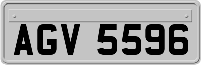 AGV5596