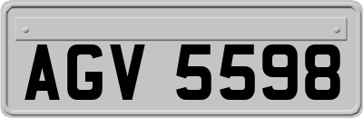 AGV5598