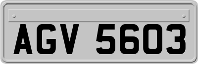 AGV5603