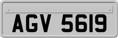 AGV5619