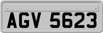 AGV5623