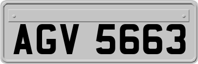 AGV5663