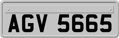 AGV5665