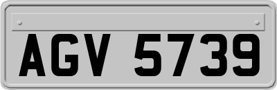 AGV5739