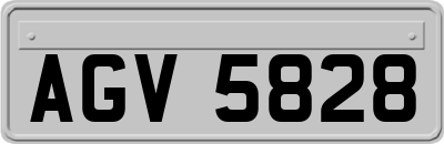 AGV5828