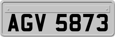 AGV5873