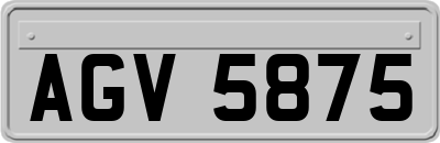 AGV5875