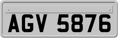 AGV5876