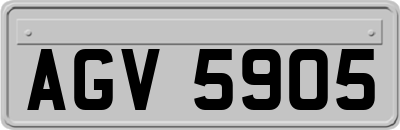 AGV5905