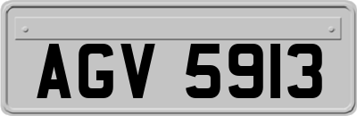 AGV5913