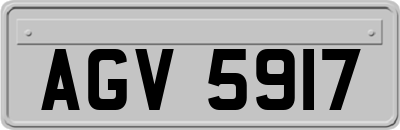AGV5917