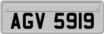 AGV5919