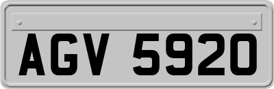 AGV5920