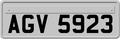 AGV5923