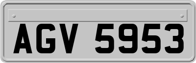 AGV5953