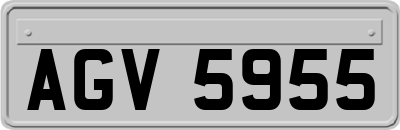 AGV5955