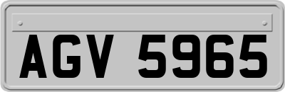 AGV5965