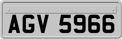 AGV5966