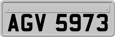 AGV5973