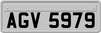 AGV5979
