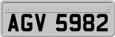 AGV5982