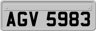 AGV5983