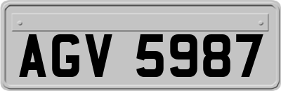 AGV5987