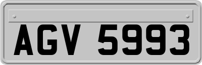 AGV5993