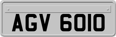 AGV6010
