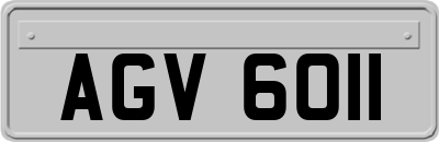 AGV6011