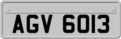 AGV6013