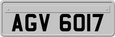 AGV6017