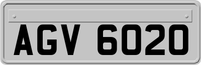 AGV6020