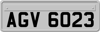 AGV6023
