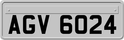 AGV6024