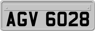 AGV6028