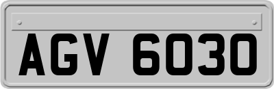 AGV6030