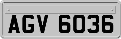 AGV6036