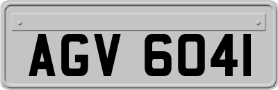 AGV6041