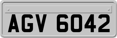 AGV6042