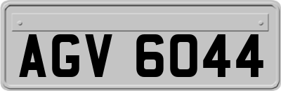 AGV6044