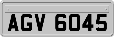 AGV6045
