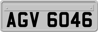 AGV6046