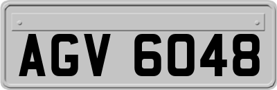 AGV6048