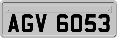 AGV6053