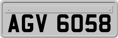 AGV6058