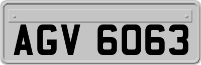 AGV6063