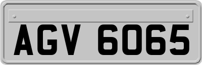 AGV6065