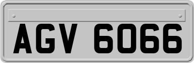 AGV6066