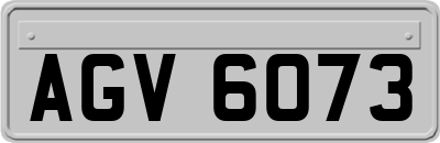 AGV6073